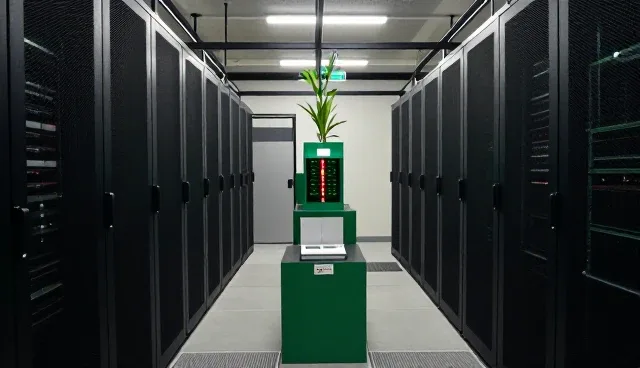 农业技术趋势下种植条件的选择策略