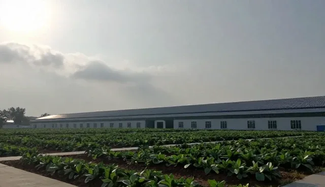 农产品供应选择依据:适用场景与限制分析